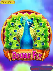 DoubleFly: A Nova Sensação dos Jogos Online